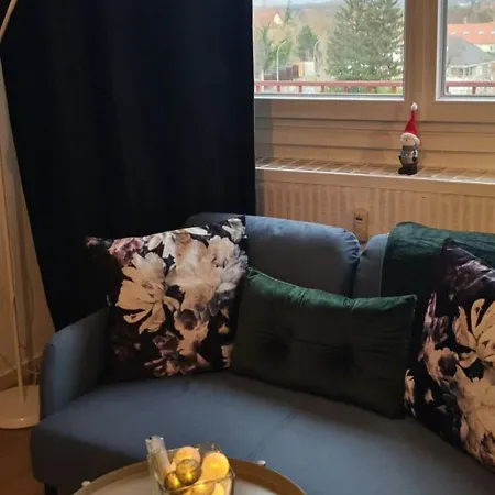 Kaan Avec Terasse 5mn Basel Airport Appartement