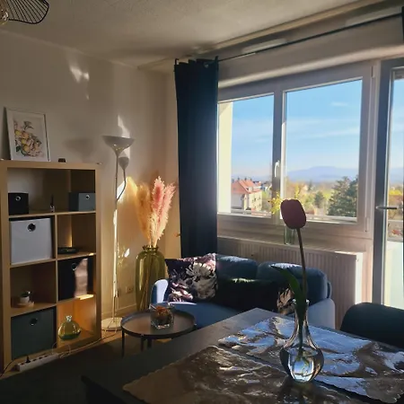 Kaan Avec Terasse 5mn Basel Airport Apartmán Saint-Louis (Haut-Rhin)