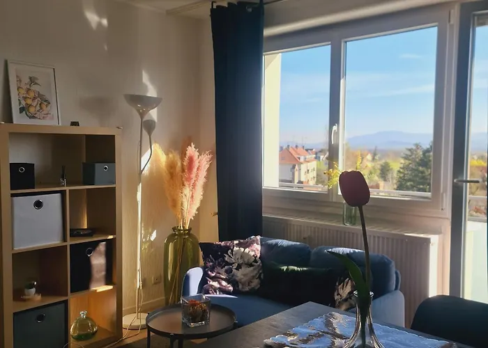 Kaan Avec Terasse 5mn Basel Airport Apartmán Saint-Louis (Haut-Rhin)